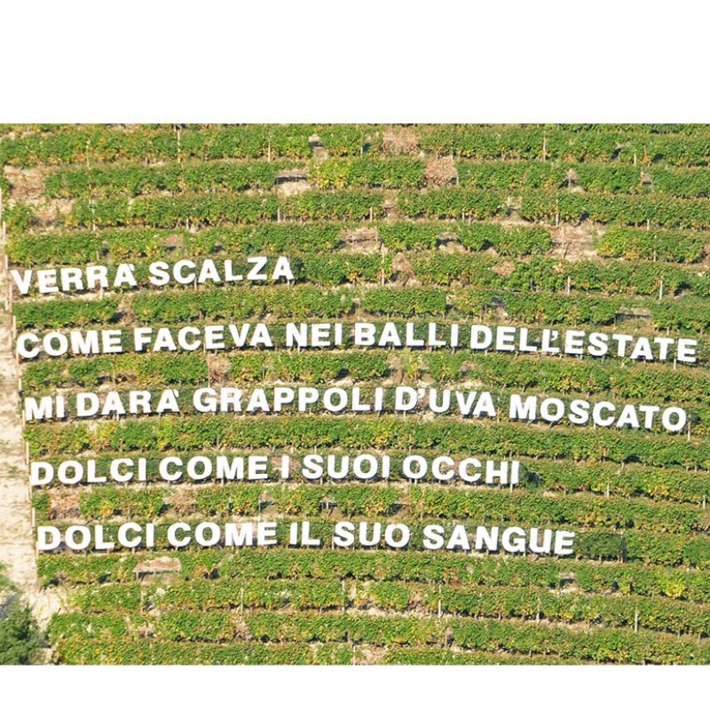 Dove il Monferrato diventa Langa