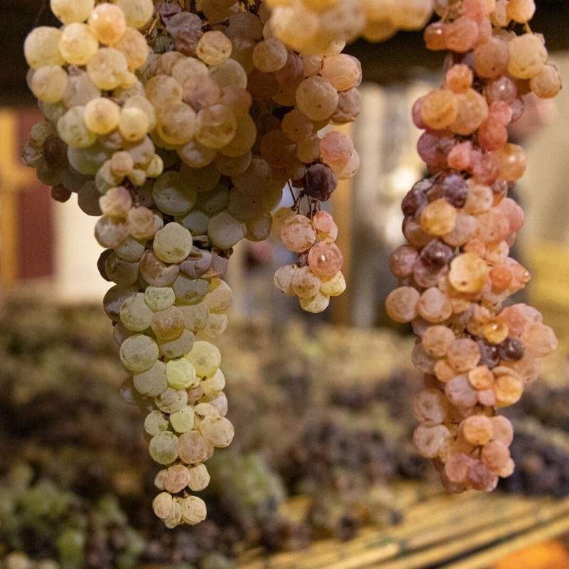 La "più piccola DOC d'Italia"? E' nella Terra dei grandi vini !