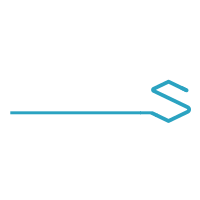 Fattore S