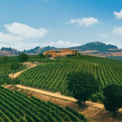 CASTELLO DEL POGGIO