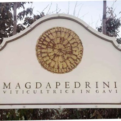 VINI MAGDA PEDRINI