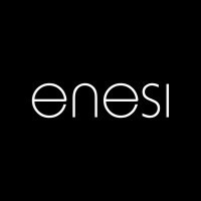 10 - PARTNER - ENESI