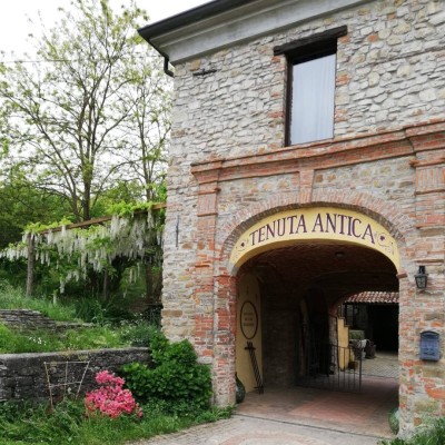 TENUTA ANTICA AGRITURISMO con RISTORANTE