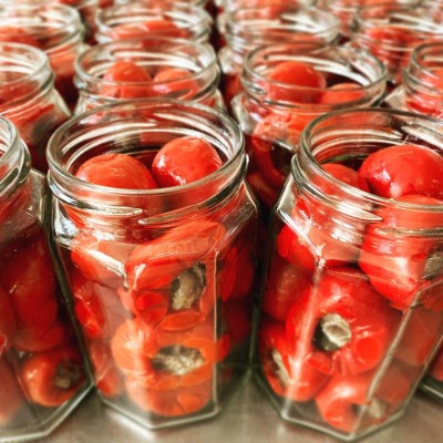 AGRIPASSIONE AGRICAMPEGGIO