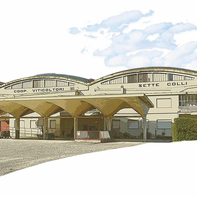 SETTECOLLI - CANTINA SOCIALE