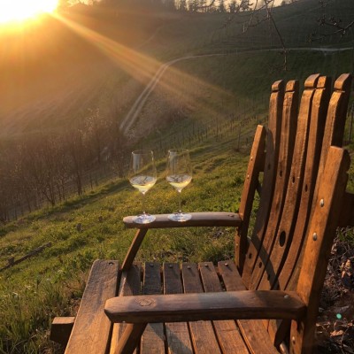 TENUTA LA TENAGLIA AGRITURISMO con CANTINA